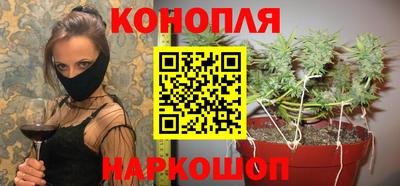 мдпв Татарск