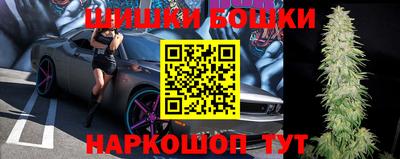 мдпв Татарск
