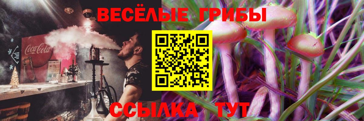 Новошахтинск  закладка  Вход с VPN  Галлюциногенные грибы Magic Shrooms 